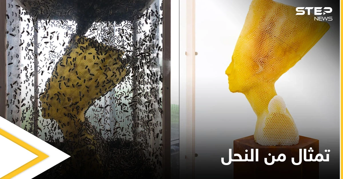 شاهد بالصور|| فنان يستخدم جيشاً من النحل لصناعة منحوتة "الخلود" التي تمثل الملكة نفرتيتي