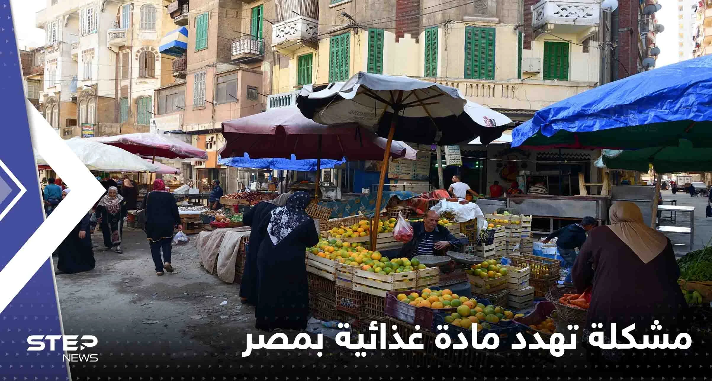 "مشكلة خطيرة" في مصر قد تؤدي لاختفاء البيض.. ومسؤول يحذر