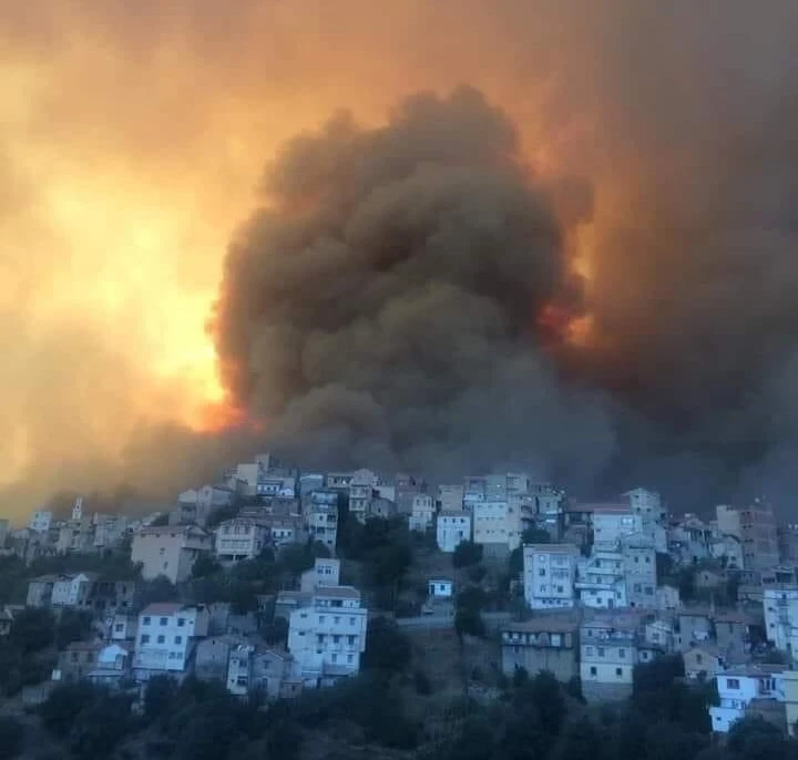 بالفيديو|| لحظات مروعة يعيشها سكان تيزي وزو.. مع ارتفاع أعداد الضحايا وزير الداخلية الجزائري يؤكد أنها "مفتعلة"