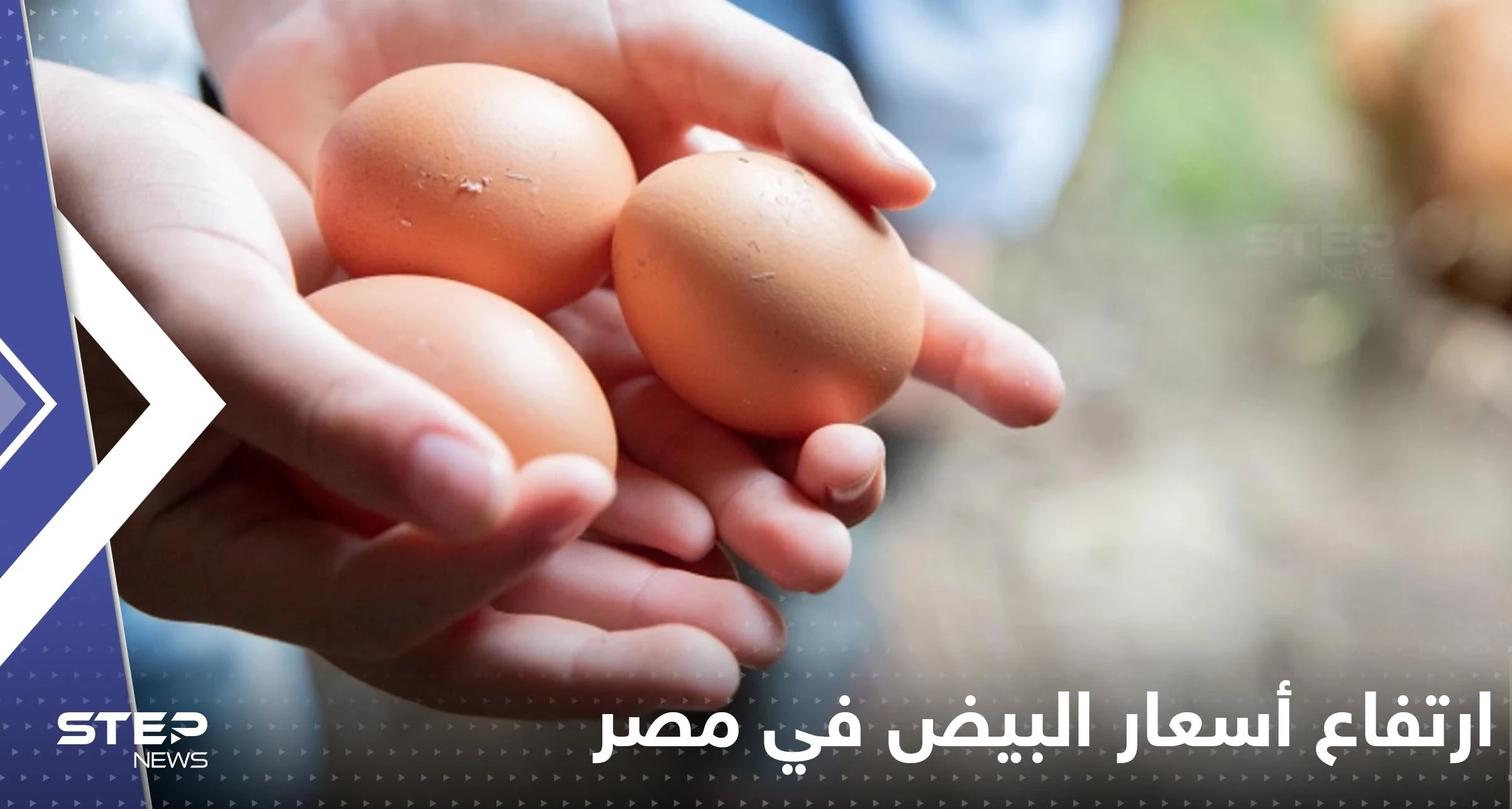 تحذير من أسعار غير متوقعة للبيض في مصر خلال أيام.. والكشف عن أسباب أزمة البن