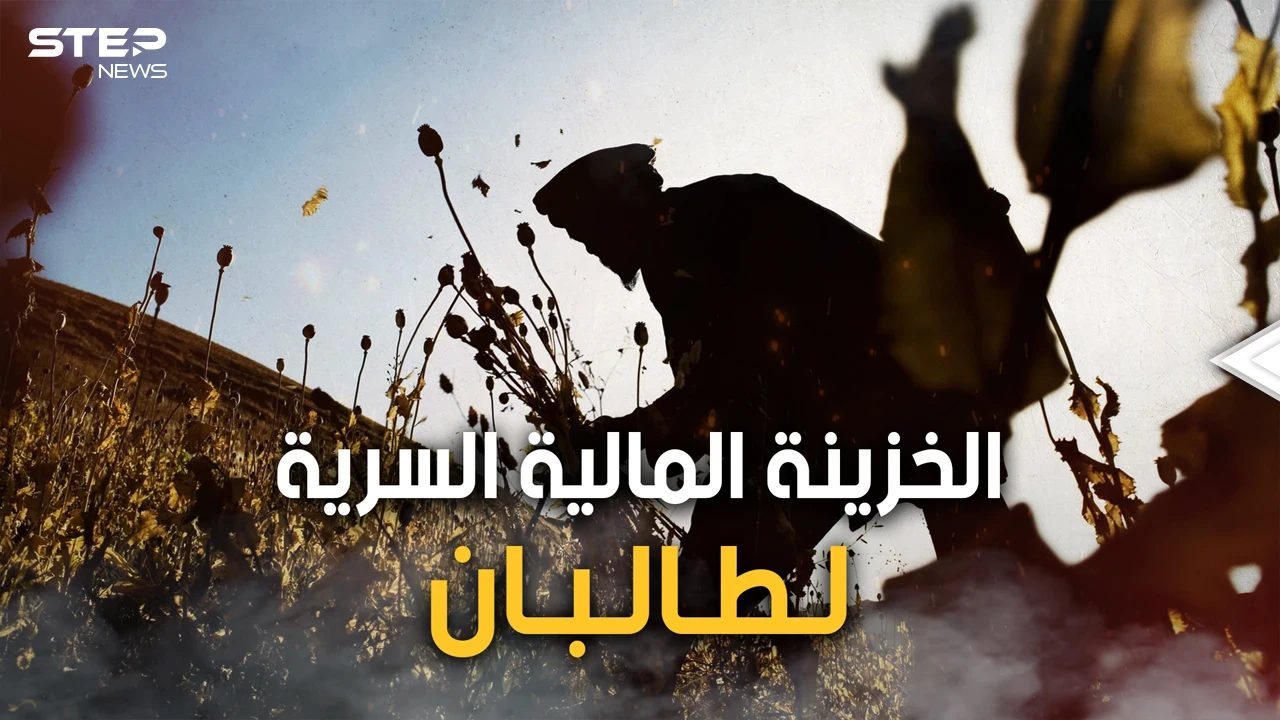 الذهب الأبيض أو النفط الأخضر.. الأفيون تجارة طالبان الرابحة والسلاح الذي تهدد به الغرب