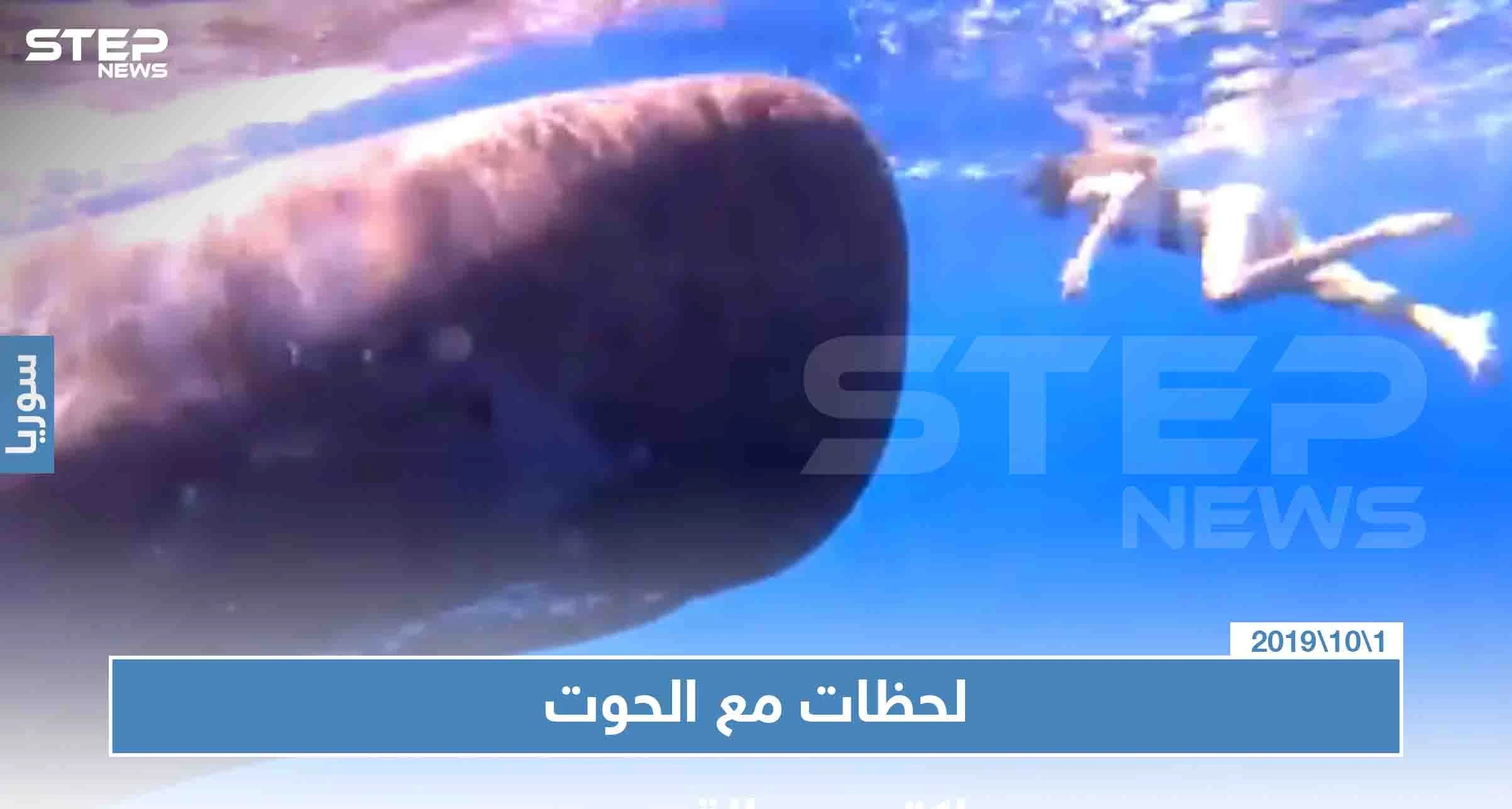 فتاة تسبح أمام الحوت في المحيط الهندي واصفة اللحظة أنها "لاتقدر بثمن"