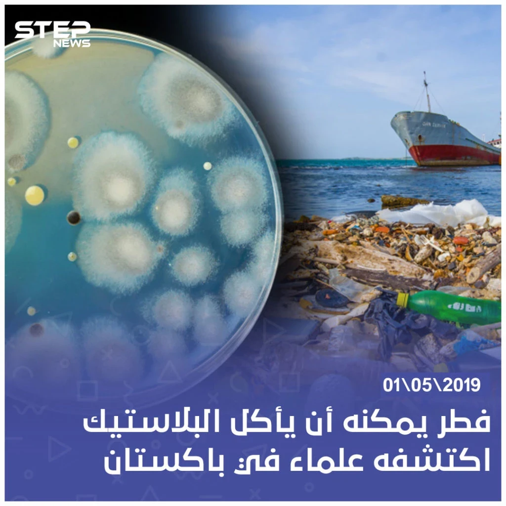 فطر يمكنه أن يأكل البلاستيك اكتشفه علماء في باكستان