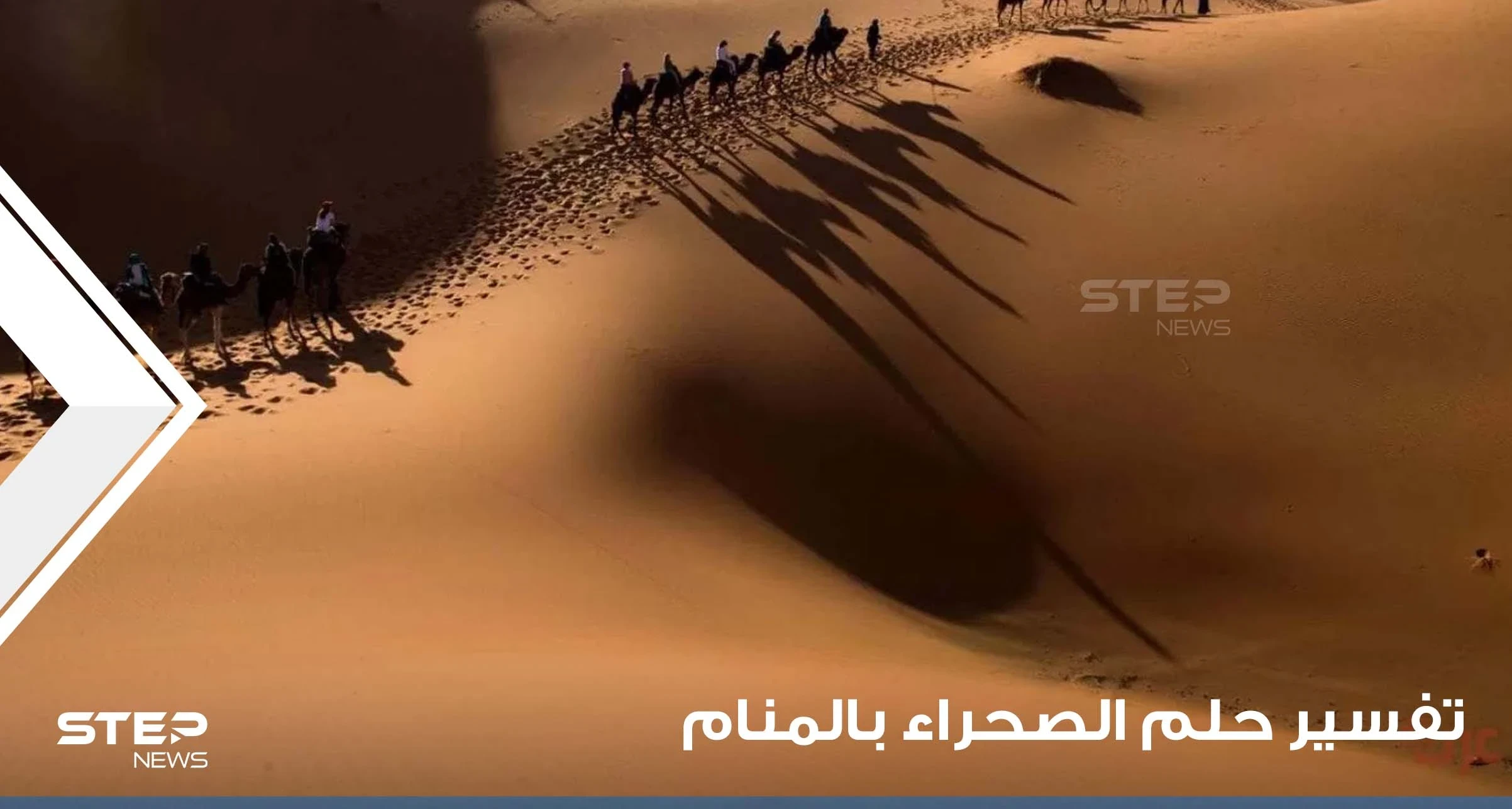 تفسير حلم الصحراء في المنام ماذا يعني أن ترى الصحراء في المنام بجميع الأحوال