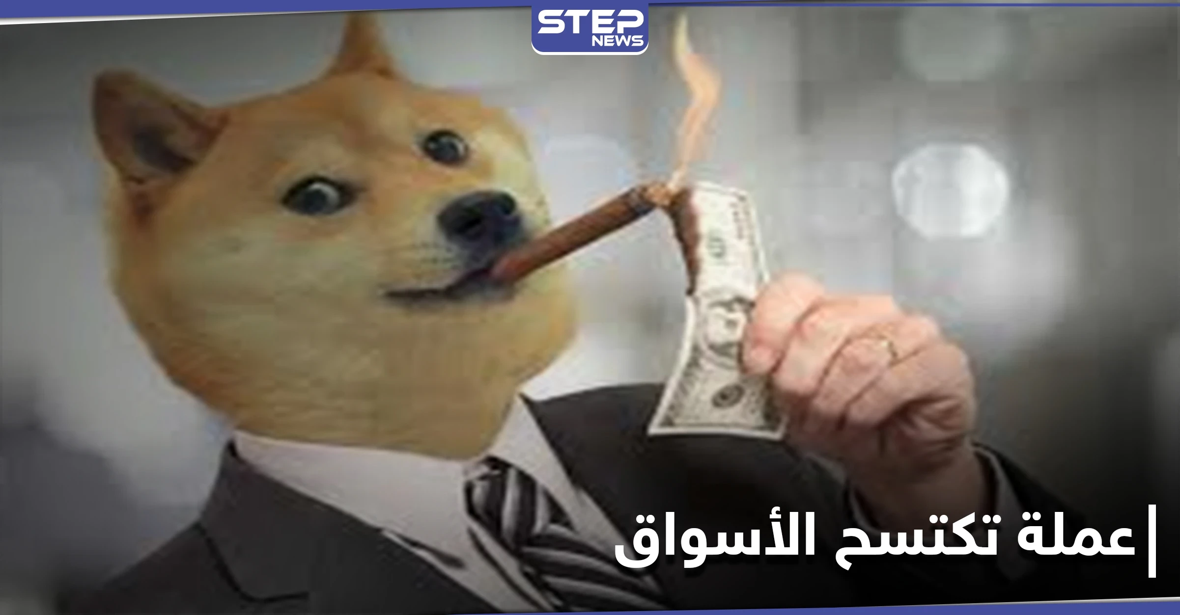من عملة مشفرة مغمورة إلى اكتساح الأسواق العالمية.. عملة دوجكوين و"التغريدة السّر"!