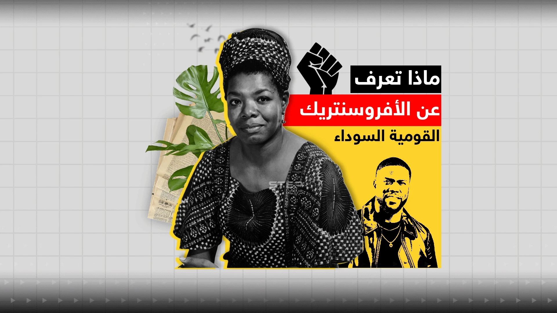 بعد اتهامها بتشجيع الأفارقة على احتلال دول عربية.. ماذا تعرف عن حركة "الأفروسنتريك" ؟