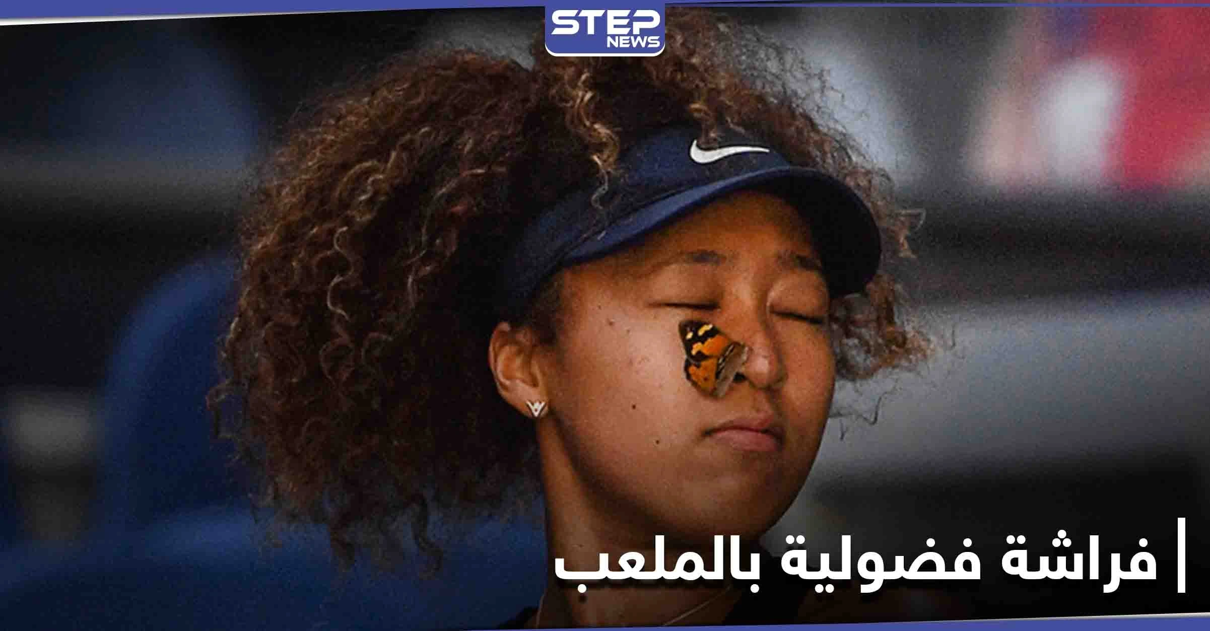 بالفيديو|| ردة فعل مدهشة تجاه فراشة "فضولية" أثناء مباراة في أستراليا المفتوحة