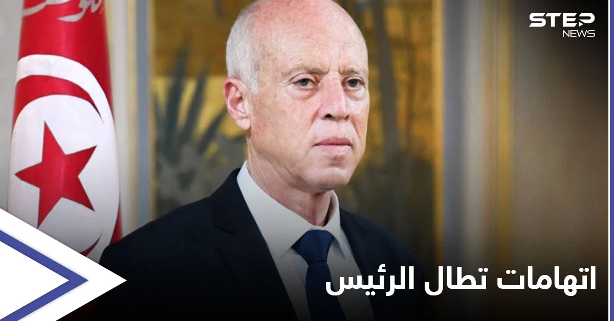 بالفيديوهات والوثائق... نائب تونسي يتهم قيس سعيد بالتخابر لصالح جهة خارجية تلقى "أموالاً" منها
