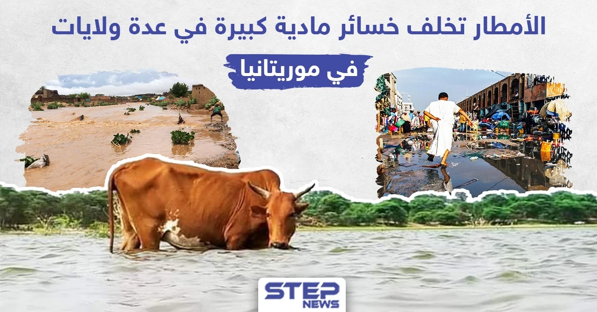 من فيضانات السودان إلى أمطار موريتانيا المياه تكبد المدنيين الكثير من الخسائر هل سنشهدها بدولة عربية ثالثة!؟