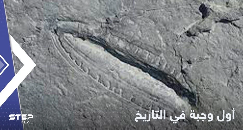 "أقدم وجبة في التاريخ".. علماء يتوصلون لاكتشاف مدهش
