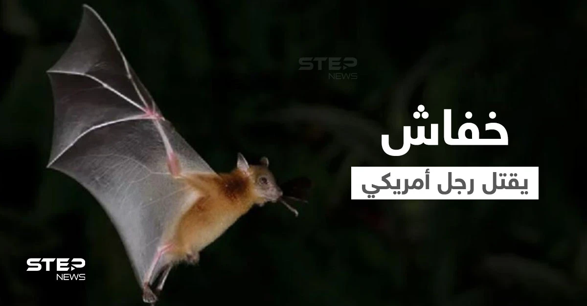 بعد اكتشاف مستعمرة خفافيش في منزله.. رجل أمريكي يقتله داء السعار