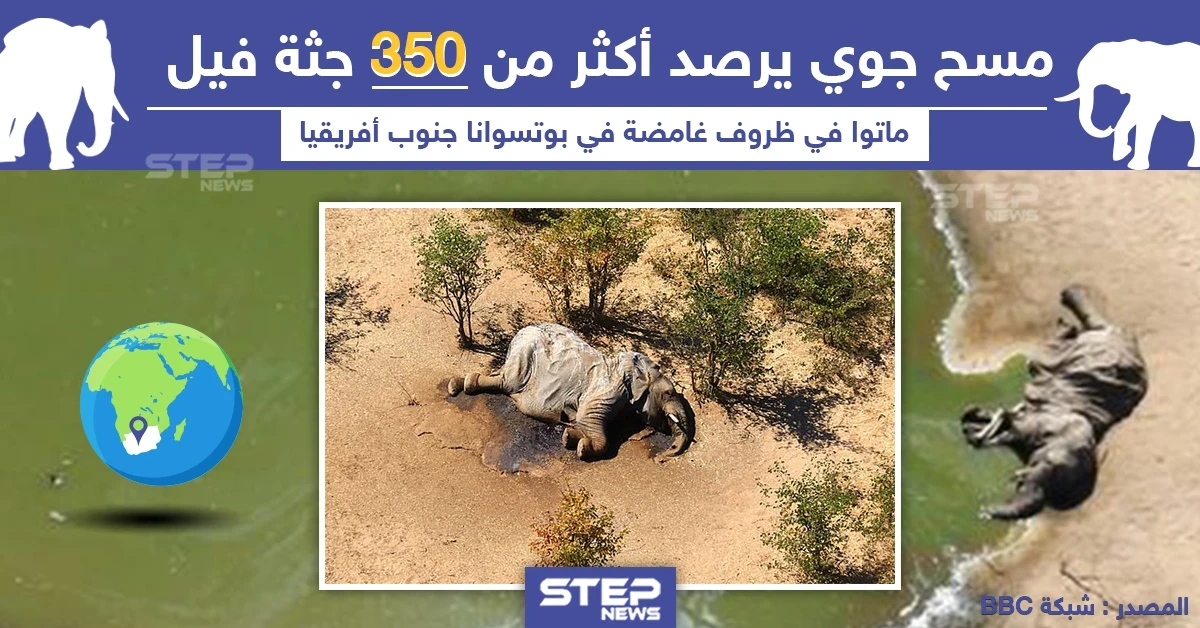 موت 350 فيل في ظروف غامضة بجنوب أفريقيا