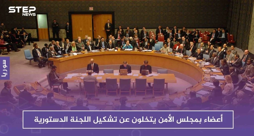 أعضاء بمجلس الأمن يتخلون عن تشكيل اللجنة الدستورية.. ومنظمات تطرح مبادرة بخصوص المعتقلين
