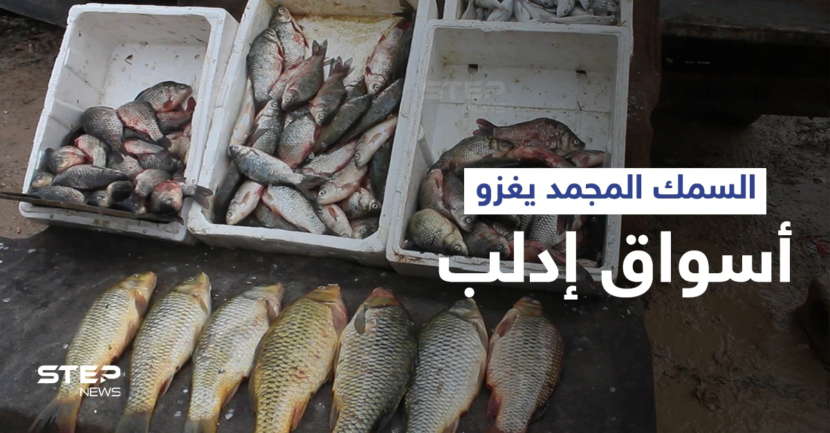 الأسماك المجمدة تغزو أسواق محافظة إدلب تماشياً مع حالة الفقر في المنطقة