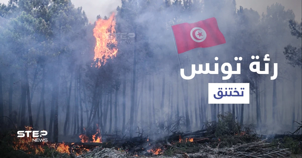 بالفيديو|| رئة تونس تختنق.. إعصار ناري يثير الفزع والسلطات تكابد منعاً لتكرار كارثة الجزائر (صور)