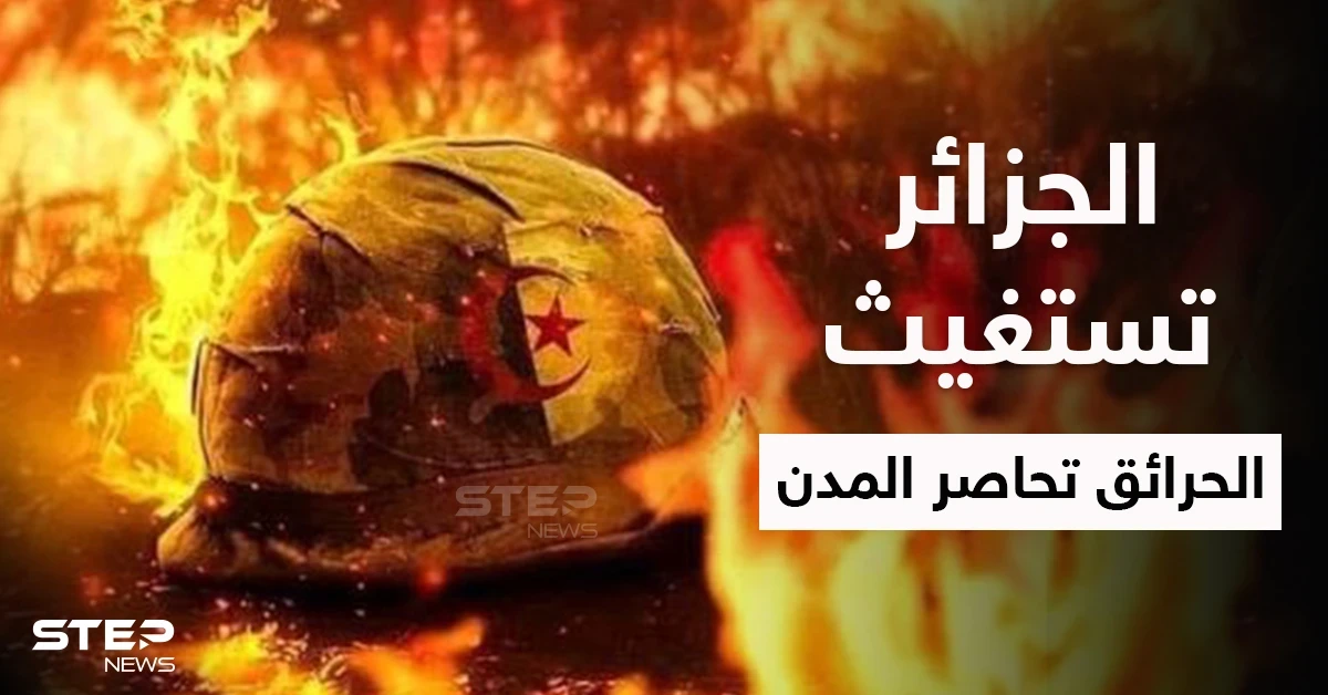 بالفيديو والصور|| حرائق الجزائر المدمرة تستفز فرنسا لتقدم المساعدة والشعب المحاصر بالنيران يستغيث