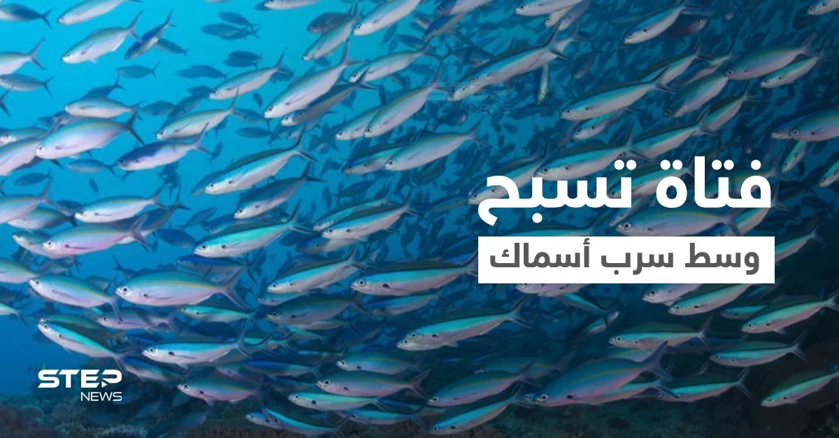 بالفيديو|| بملابس السباحة فتاة تسبح وسط سرب من الأسماك في أعماق البحر وتصبح واحدة منها