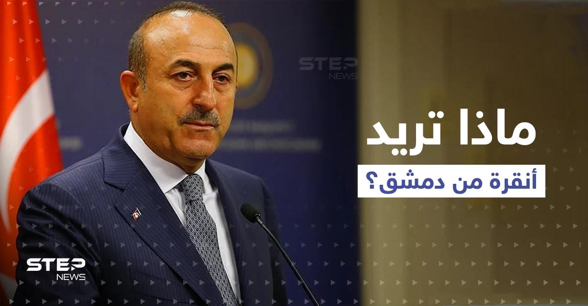 وزير الخارجية التركي يتحدث عن تقسيم سوريا.. ويدعو النظام السوري والمعارضة للاتفاق على أمرين