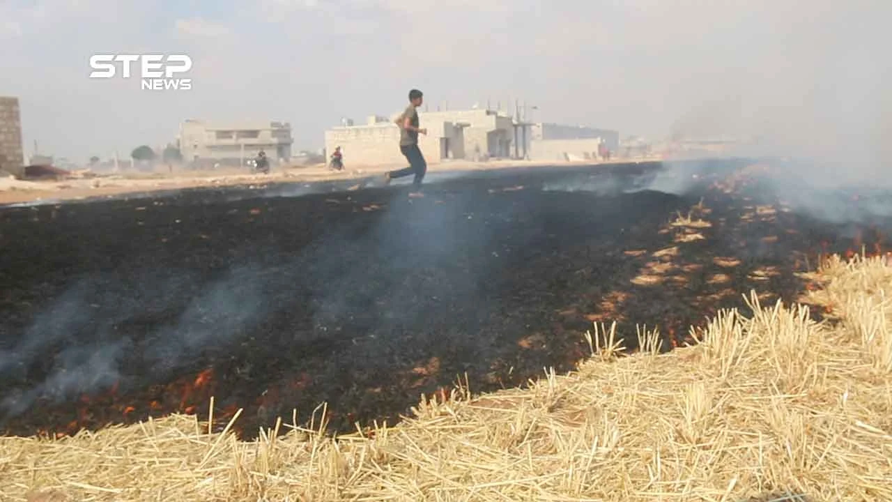 بالفيديو .. مشاهد من اشتعال الحرائق بالأراضي الزراعية في مدينة مارع شمال حلب إثر قصفها من قبل ميليشيا الوحدات الكردية