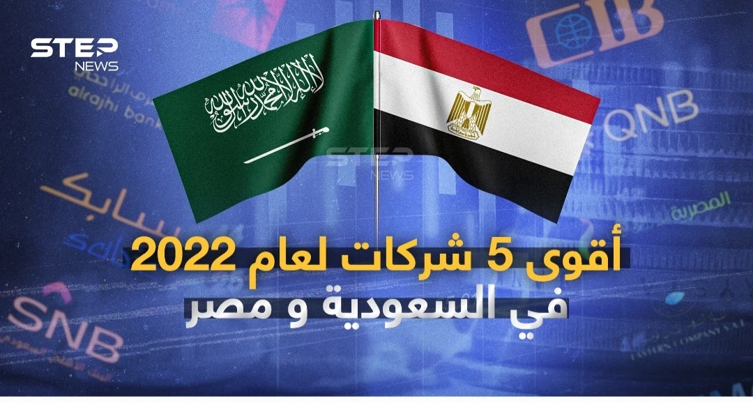 أقوى 5 شركات لعام 2022 في السعودية ومصر