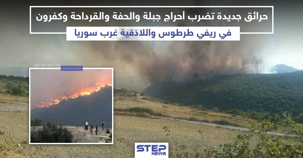 مرة أخرى.. الحرائق تلتهم غابات الساحل السوري!