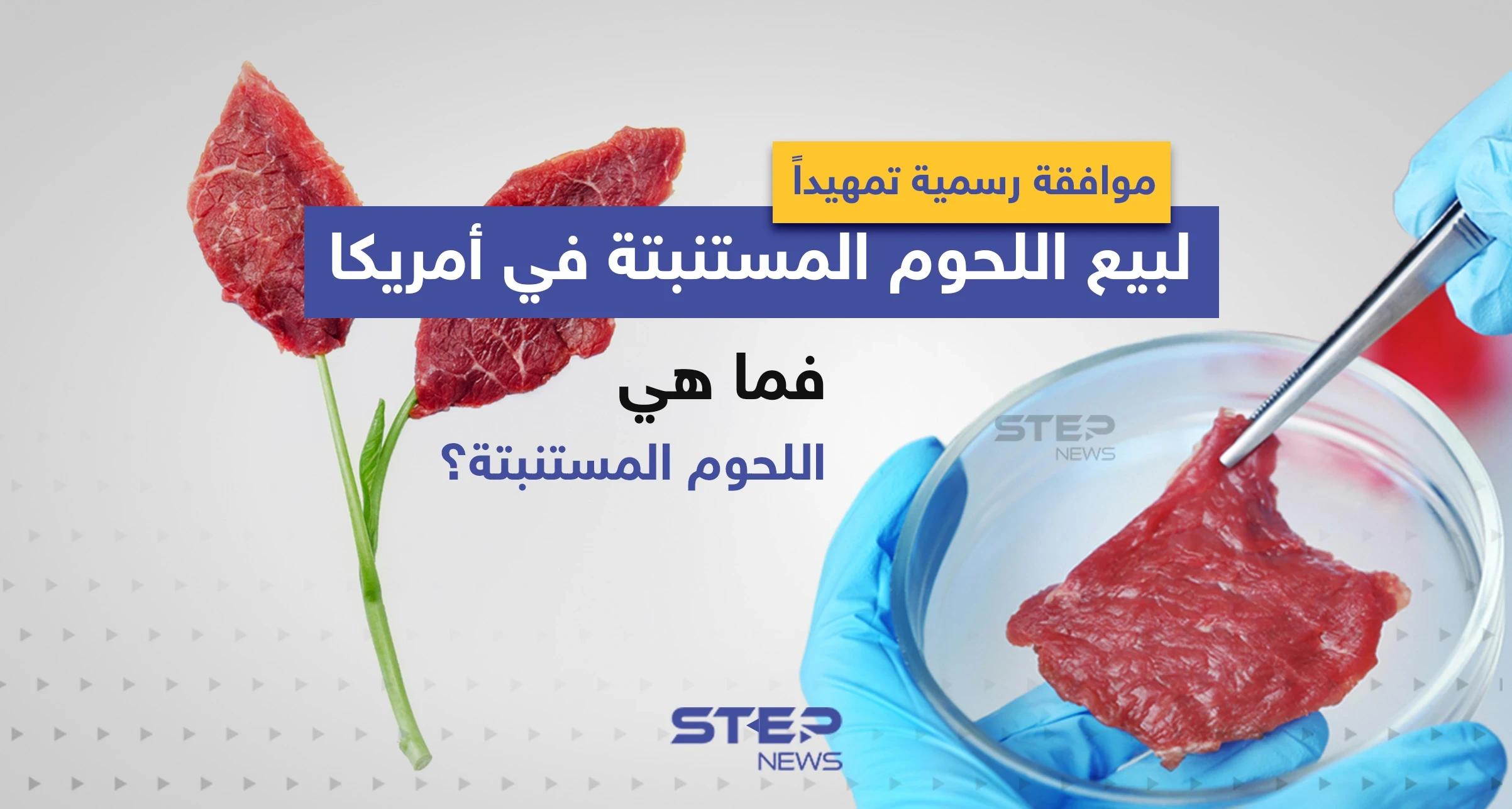 موافقة رسمية تمهيداً لبيع اللحوم المستنبتة في أمريكا ... فما هي اللحوم المستنبتة؟