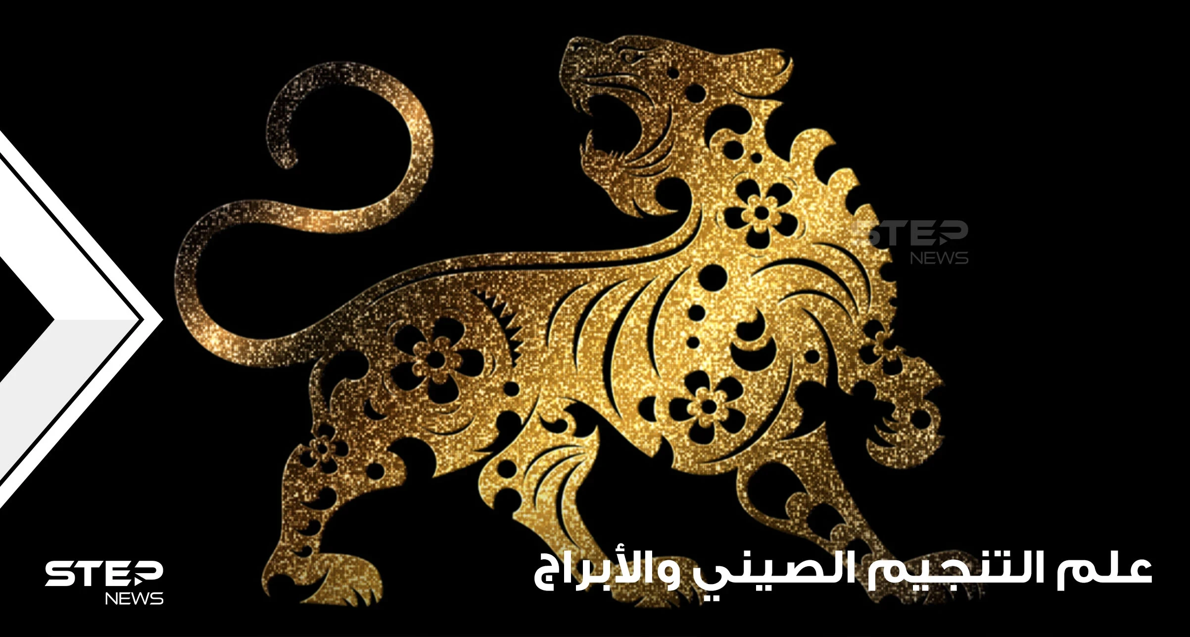 سنة 2022 حسب التنجيم الصيني هي عام النمر.. فماذا يعني ذلك وما أبرز خصائصها