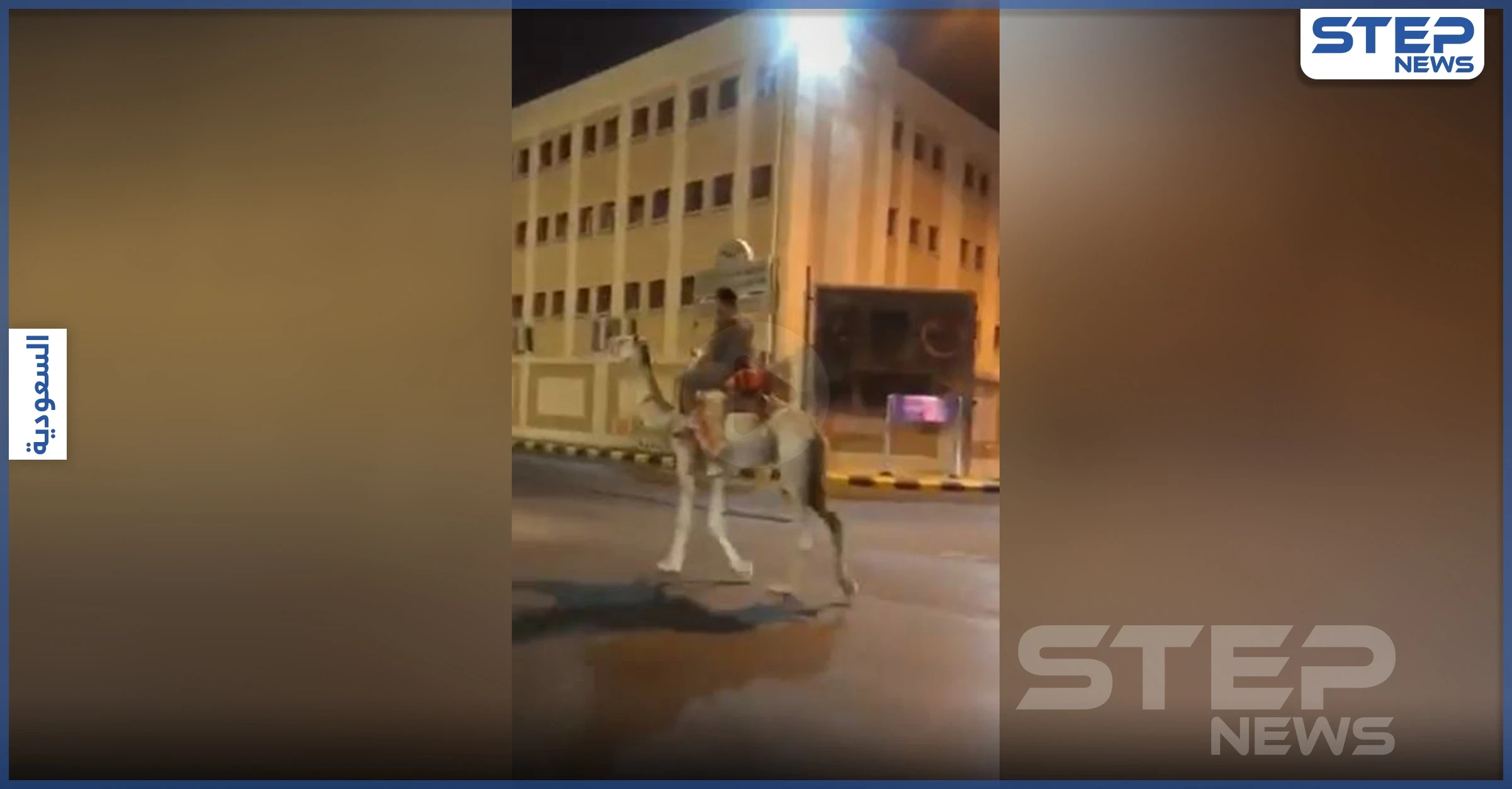 بالفيديو|| مرتدياً بدلة عسكري.. سعودي يقود جملاً في شوارع مكة المكرمة والسبب!
