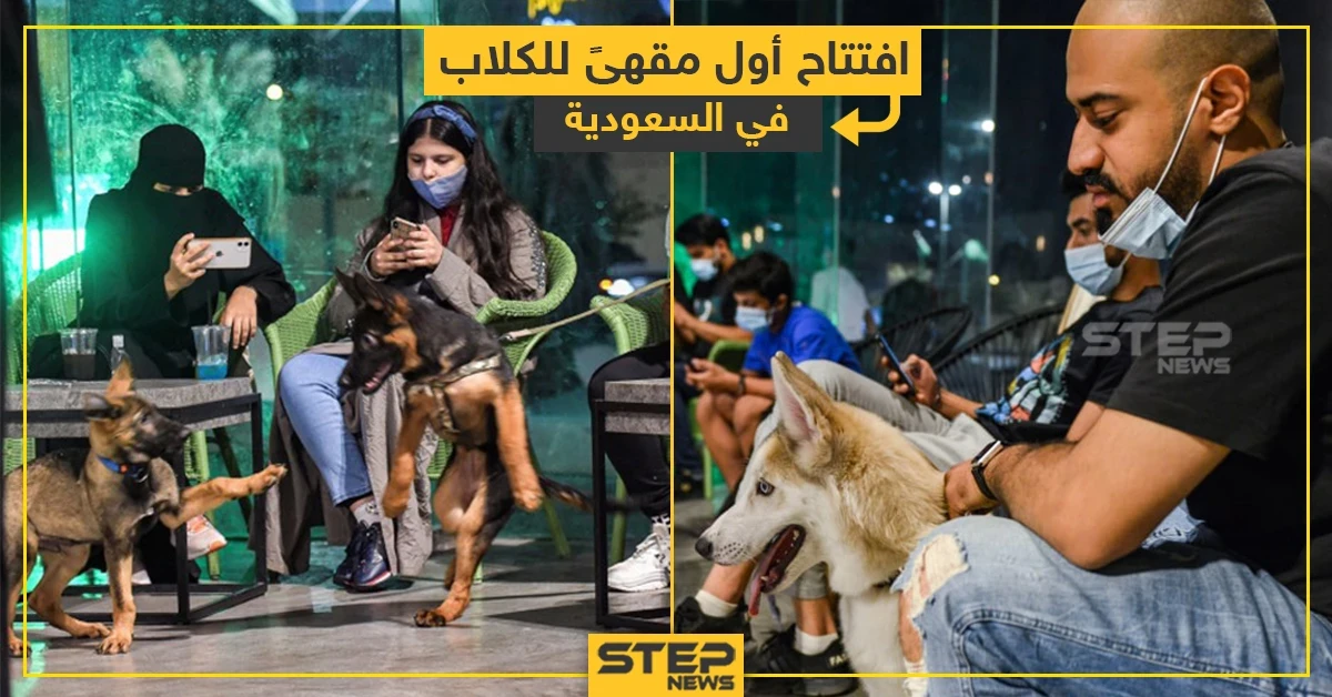افتتاح أول مقهى للكلاب في السعودية