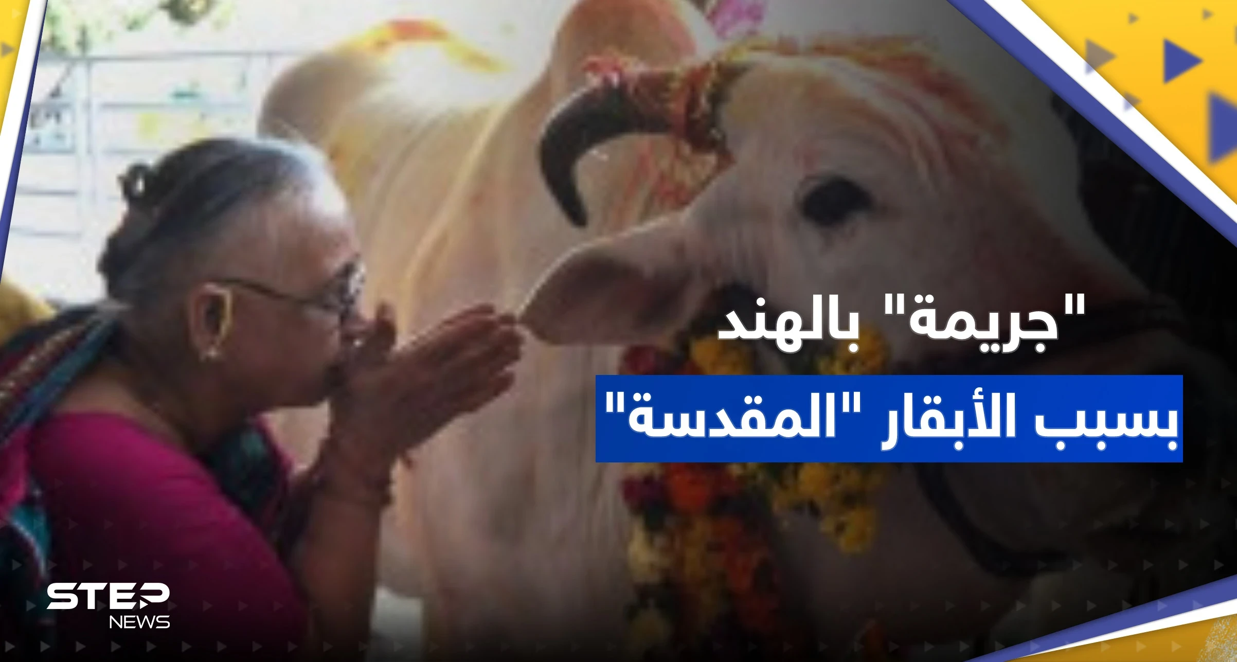 جريمة بحق مسلمين بالهند بسبب "الأبقار المقدسة"