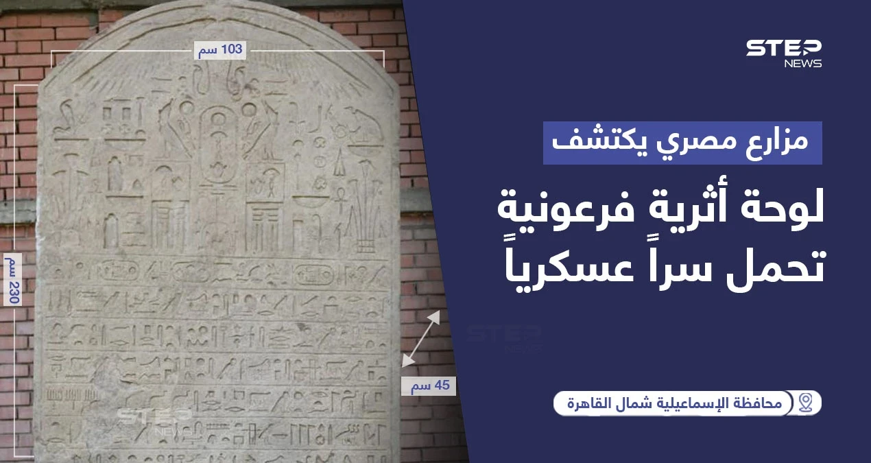 مزارع مصري يكتشف لوحة أثرية فرعونية تحمل سراً عسكرياً