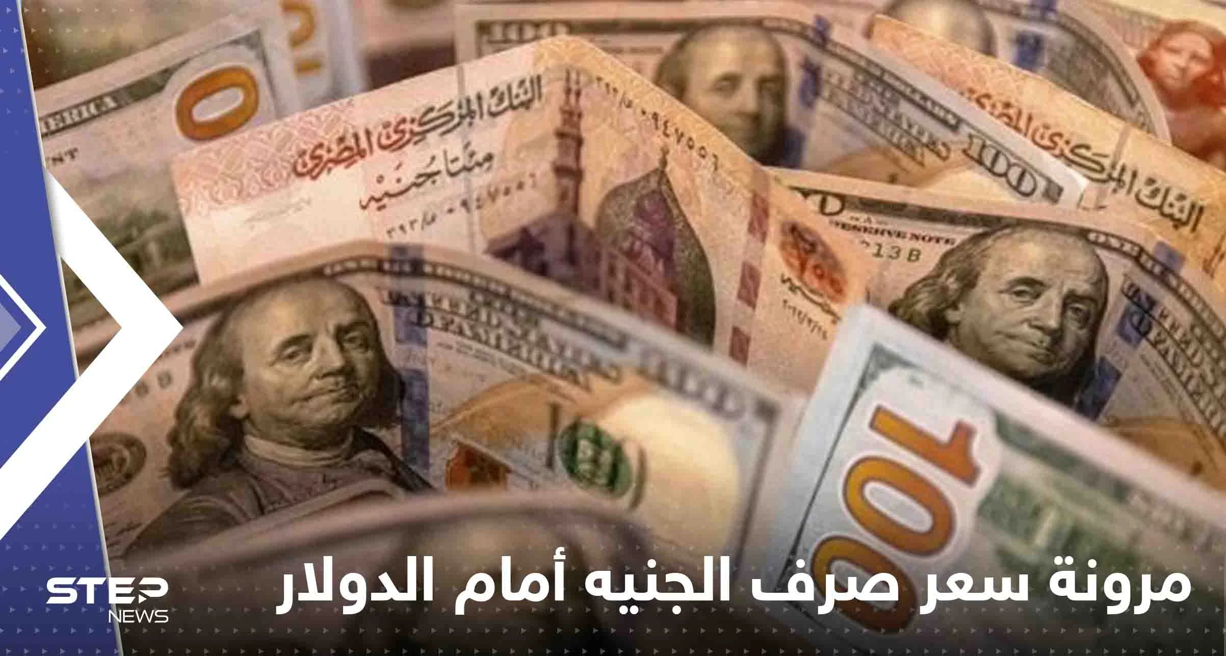 مصر تكشف سر مرونة سعر صرف الجنيه أمام الدولار