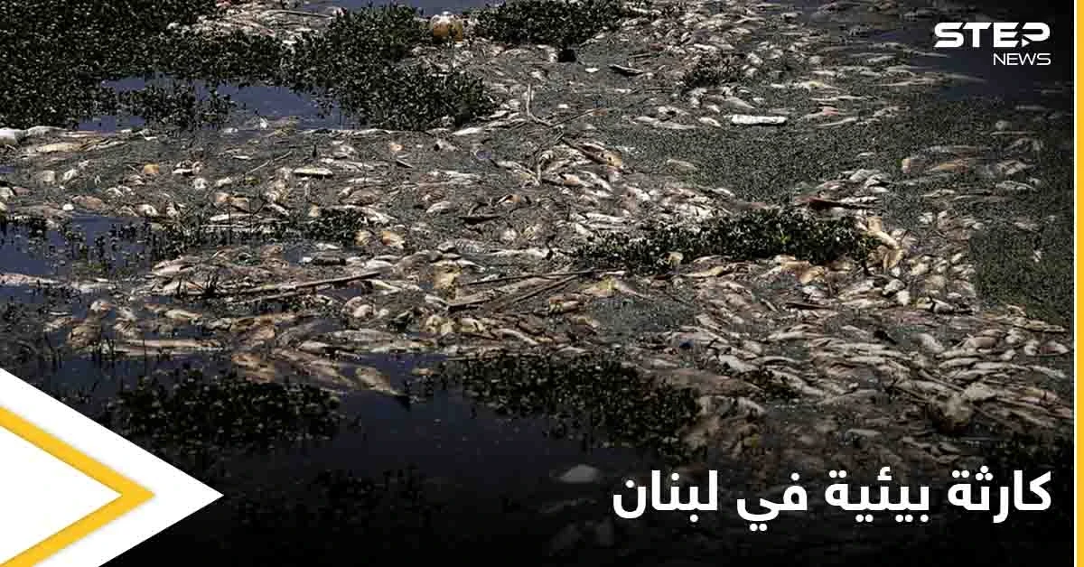 كارثة تهدد حياة اللبنانيين.. آلاف الأسماك النافقة تحمل فيروساً خطيراً تتكدس قرب الليطاني وتحذيرات من الجهات المعنية