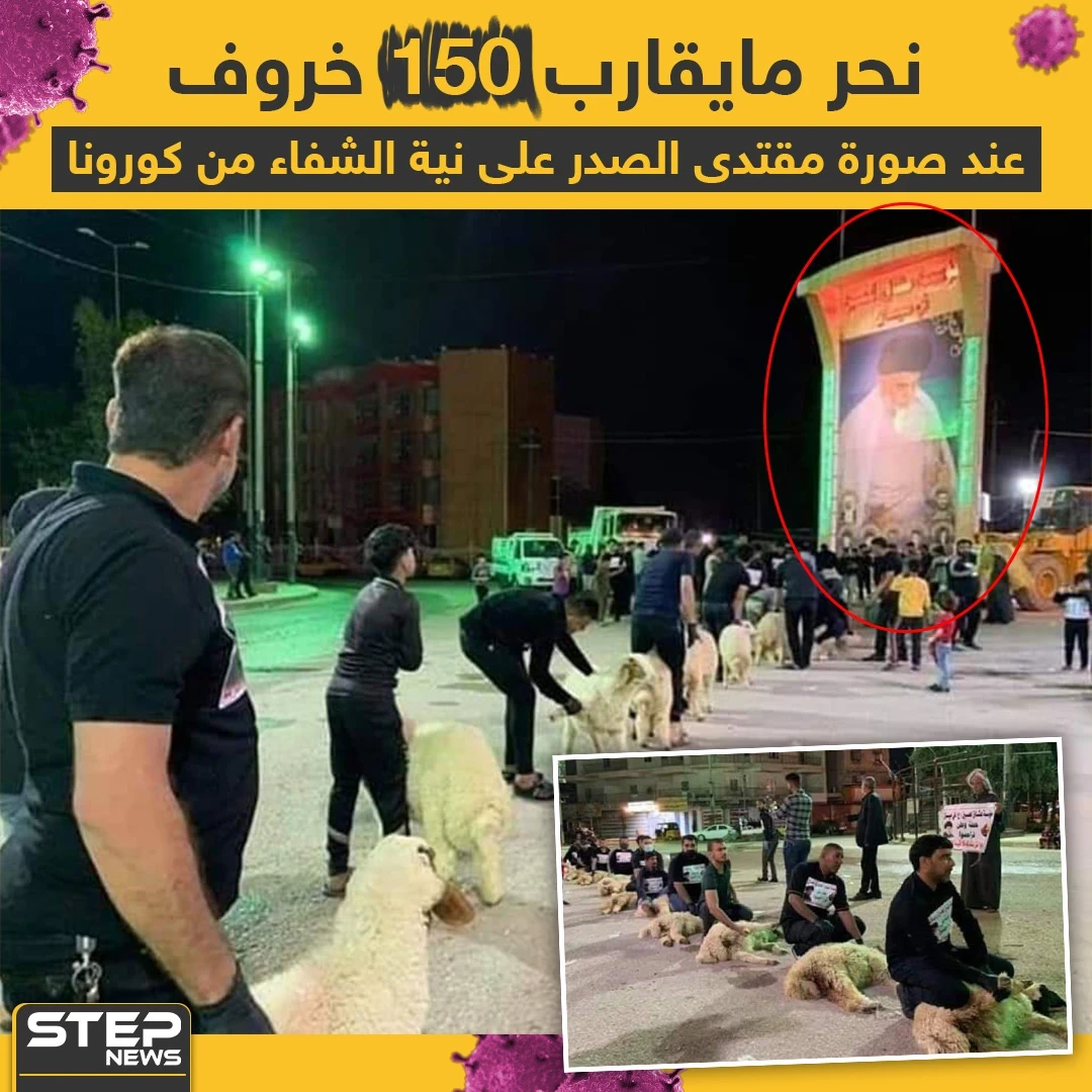 أنصار مقتدى الصدر يتصدون لفايروس كورونا بنحر الخراف