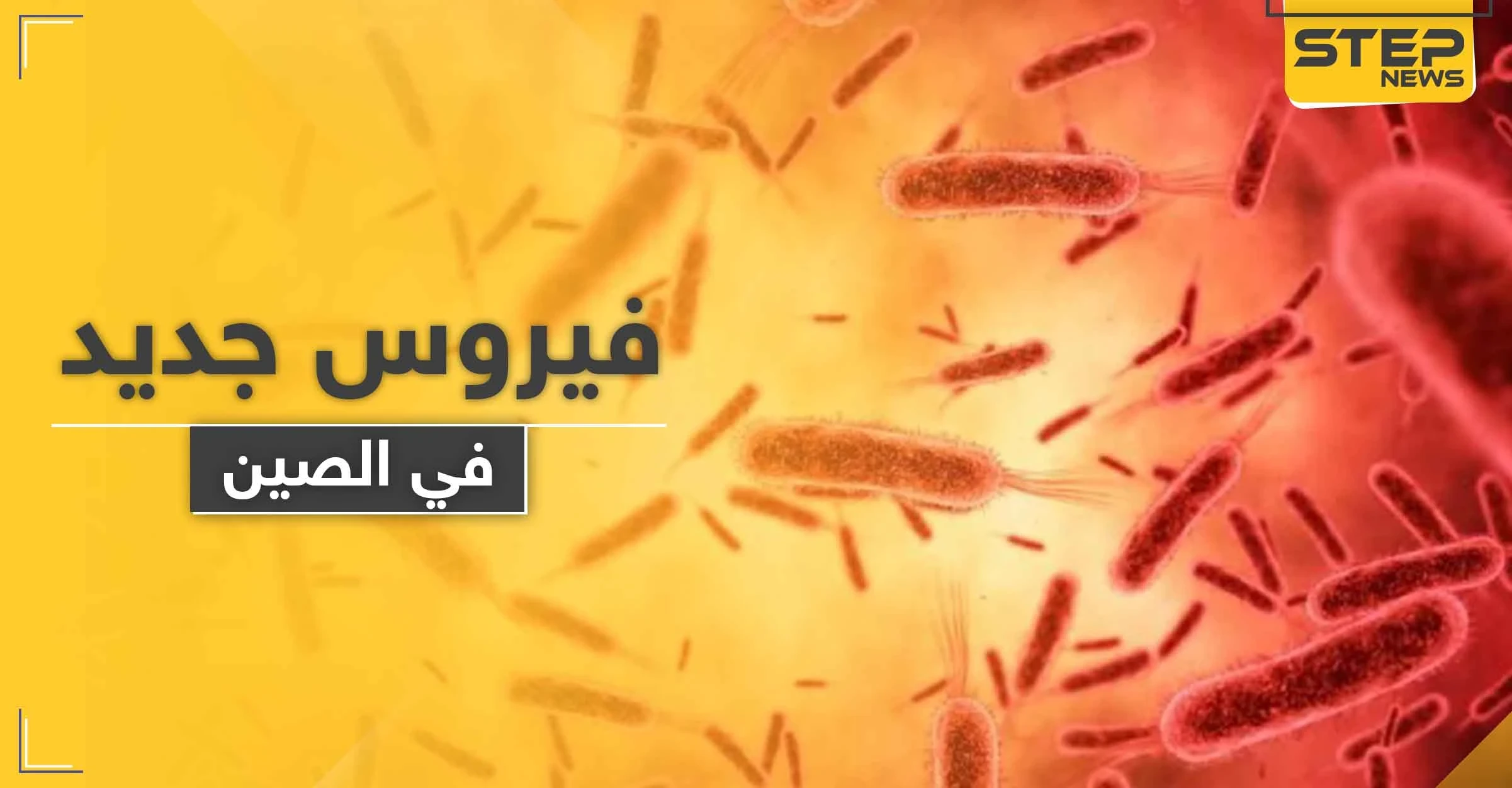 لا علاج له منذ أعوام.. فيروس جديد في الصين شديد العدوى يتسبب بمقتل 7 أشخاص