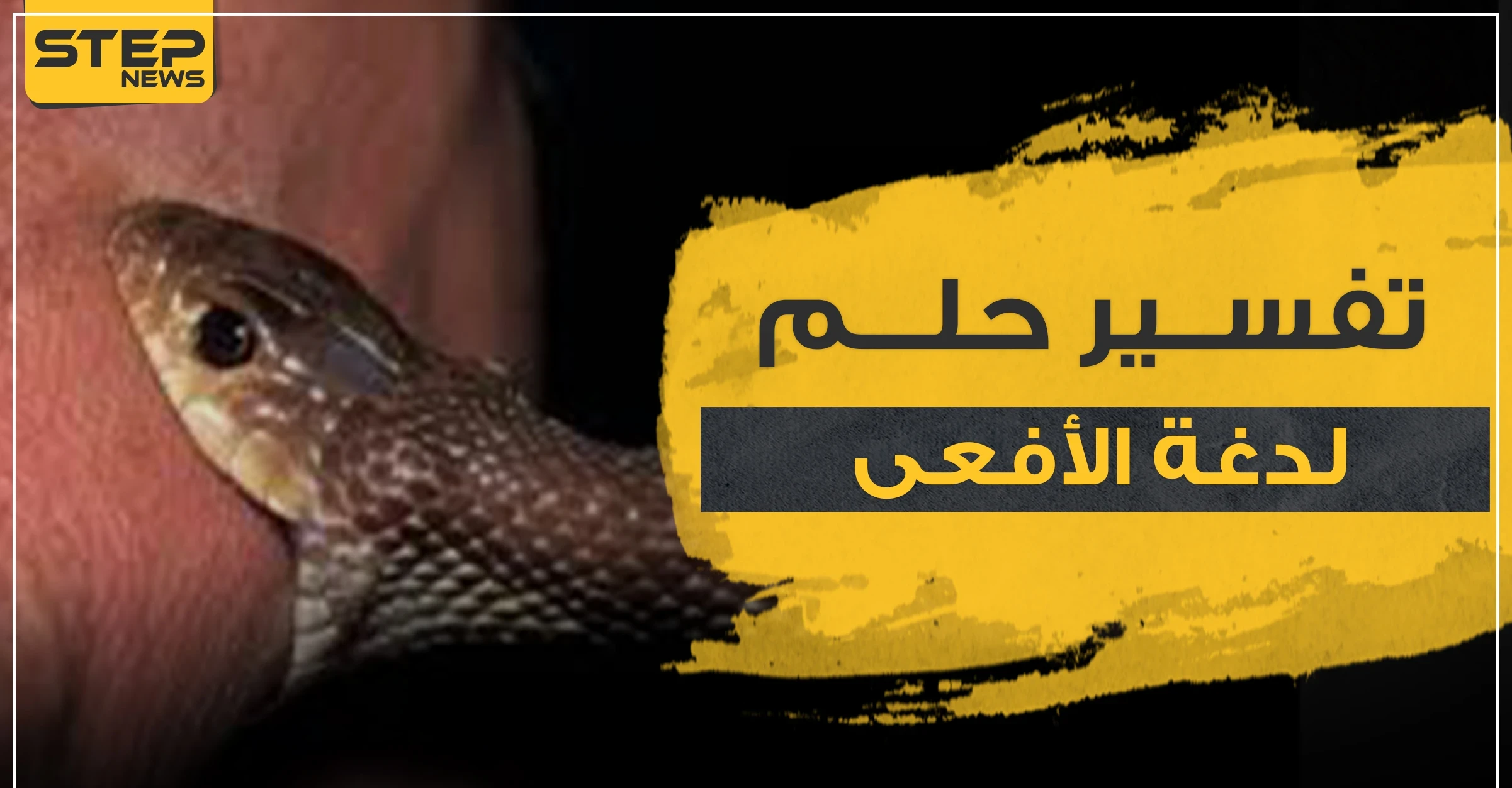 تفسير حلم لدغة الأفعى للفتاة العزباء.. وبحسب لون الأفعى ومكان اللدغة