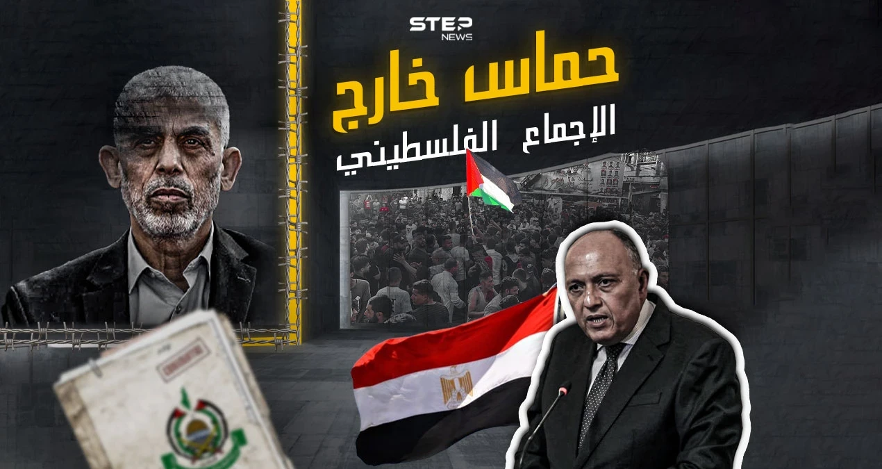 ما بين مؤيد ومعارض.. تصريحات وزير الخارجية المصري تشعل تفاعلاً .. شاركنا برأيك ؟