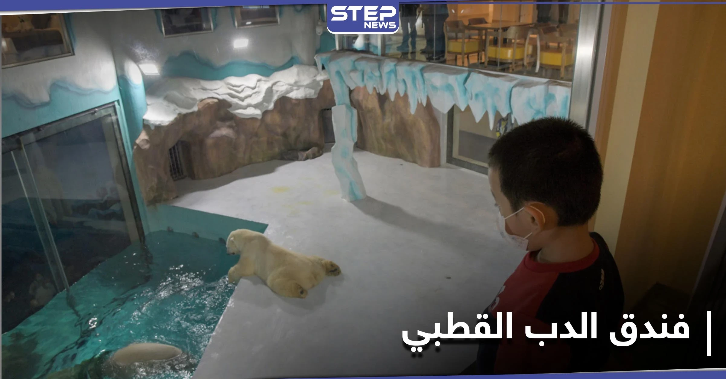 فندق الدب القطبي الأول في العالم يستقبل زواره في الصين